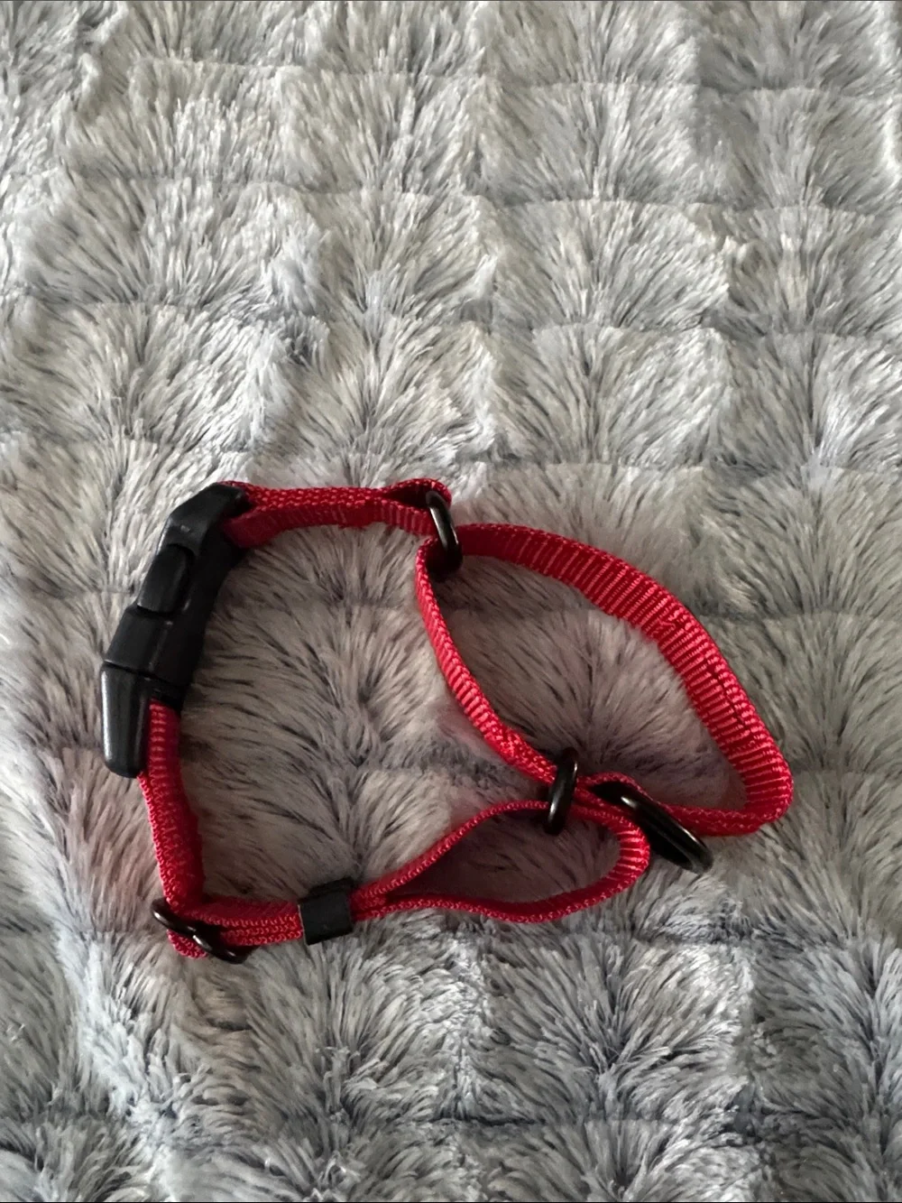 N/A bright red